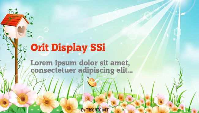 Orit Display SSi example